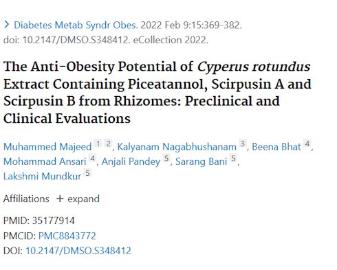 Lose weight by 10 kilos in 3 months by supplementing with Cyperus rotundus