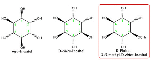 The anti-diabetic effect of 600 milligrams of D-pinitol per day