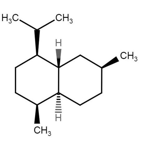 Less stress, more NK cells through aromatherapy with Hinoki oil