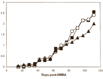 Anti-cancer supplements need plant-based proteins to be effective