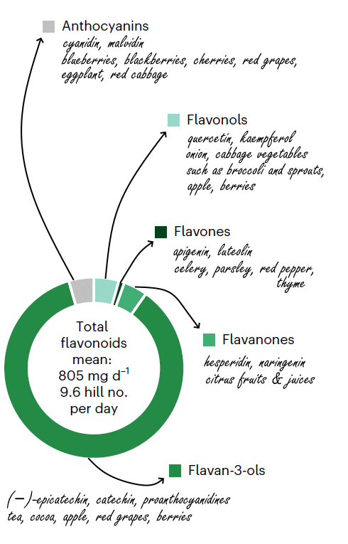Diversity of flavonoids in your diet keeps you healthy