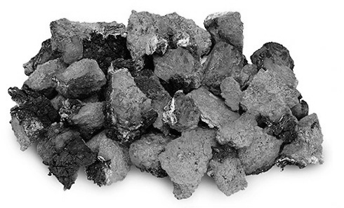 Chaga inhibits SARS-CoV-2 replication in lungs | Animal study