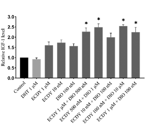 Ecdysterone and diosgenin enhance each other's anabolic effect