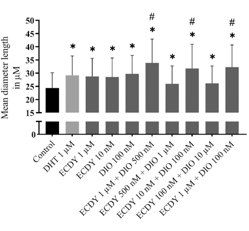 Ecdysterone and diosgenin enhance each other's anabolic effect