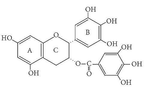 Green tea + theanine = reduced risk of flu by a factor of 5