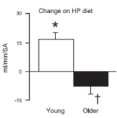 Young kidneys function fine on a protein diet, old kidneys don't