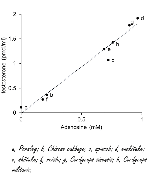 About enokitake, testosterone and copious amounts of adenosine