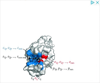 Bromelain & Other Enzymes
