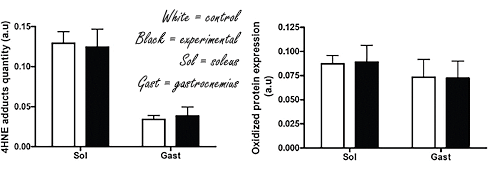 41 percent more endurance after a short monster cycle of ergothioneine