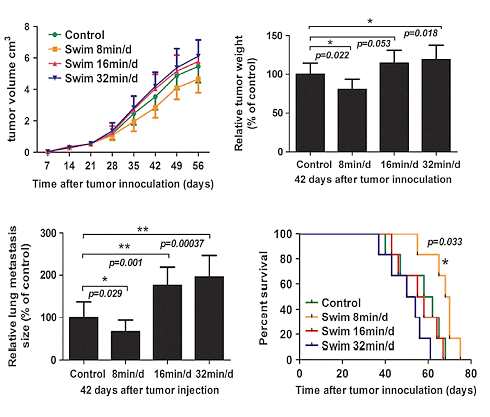 Vigorous exercise is a cancer drug - in the right dose