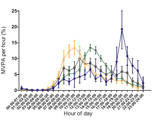 Physical activity in the evening in particular enhances insulin sensitivity