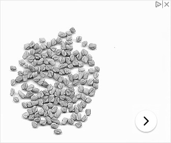 Fenugreek