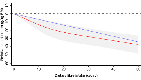 More dietary fiber, more muscle (and less body fat)