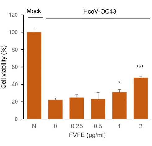 Arctigenin | This phytochemical in Arctium lappa blocks coronaviruses