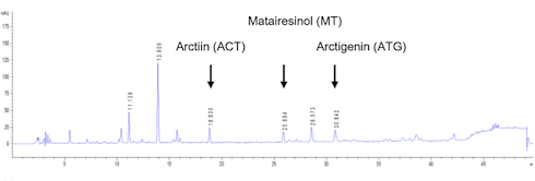 Arctigenin | This phytochemical in Arctium lappa blocks coronaviruses