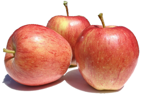 An anti-cancer factor in the skin of apples