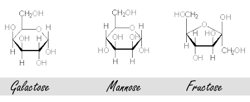 Mannose may inhibit prostate cancer | Animal data