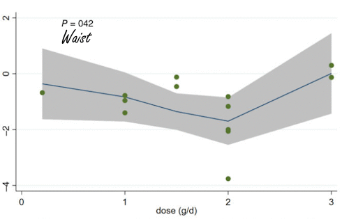 Meta-study | How to lose fat with ginger