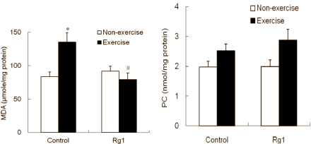Ginsenoside-Rg1 in Panax ginseng protects athletes' muscles