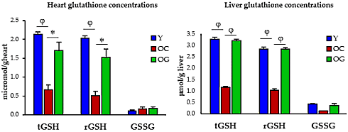 Animal study | Combination of glycine and NAC extends maximum lifespan by 40 percent