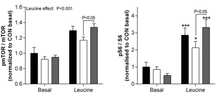 If leucine isn't stimulating muscle growth, try combining it with glycine