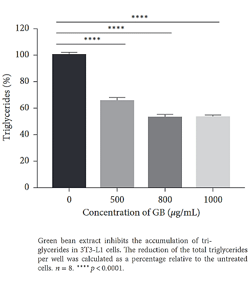 Do green beans enhance fat loss?