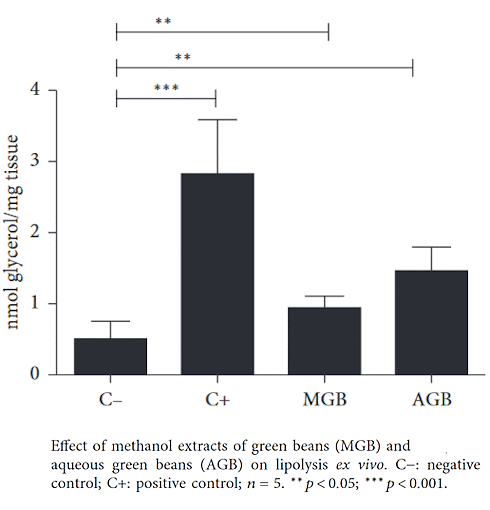 Do green beans enhance fat loss?
