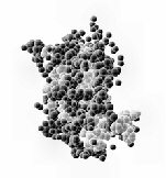 Human Growth Hormone