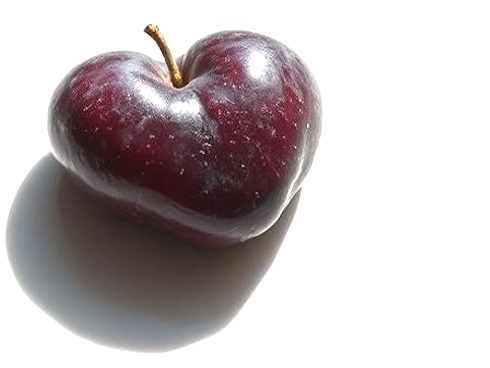 Plums improve cholesterol
