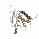 Half hour of moderately intensive cardio training boosts interleukin-15 release