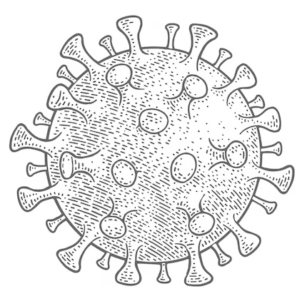 Susceptible to cold and flu? This tea boosts your immune system