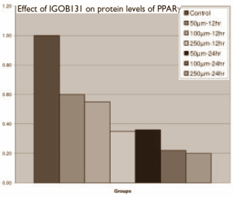 The triple slimming effect of Irvingia gabonensis
