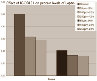 The triple slimming effect of Irvingia gabonensis