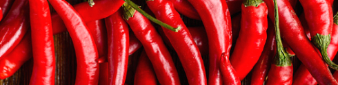 Capsaicin keeps metabolic rate high during weight loss diet
