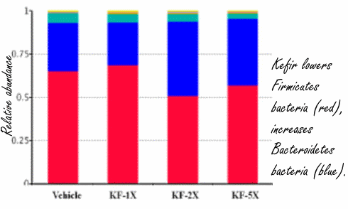 A glass of kefir per day increases muscle strength and endurance