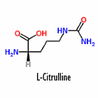 Animal study: L-citrulline supplementation accelerates healing of broken bones