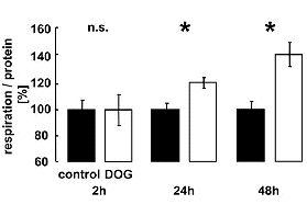How a low-carb diet helps against aging