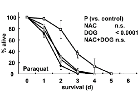 How a low-carb diet helps against aging