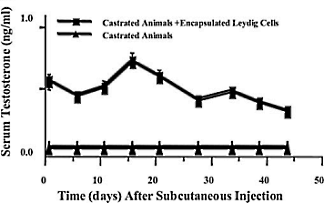 Medical scientists have done experiments on cells and experimental animals with a new technique that may be of interest for doping purposes. The researchers take hormone-producing cells, encapsulate them and then inject them into test animals. There the cells make, for example, testosterone.