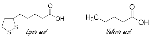 Heavy dose of biotin for more testosterone | Animal study