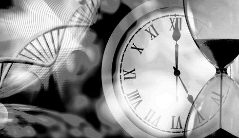 If you are 60 you can triple your chances of reaching 71 if your lifestyle includes the following six criteria: you don't smoke, you eat healthily, you take exercise regularly, you sleep well, you are not sedentary all day and you have daily contact with friends. Epidemiologists at the Universidad Autonoma de Madrid write about this in BMC Medicine.