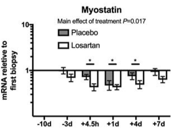 Anabolic effect of blood pressure drug losartan due to myostatin inhibition