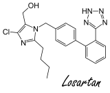Anabolic effect of blood pressure drug losartan due to myostatin inhibition