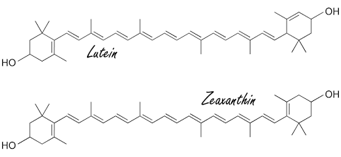 Immune cells clear more tumors and viruses with megadose zeaxanthin