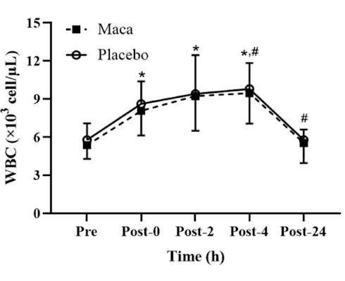 Maca activates the immune system during intensive training