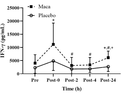 Maca activates the immune system during intensive training