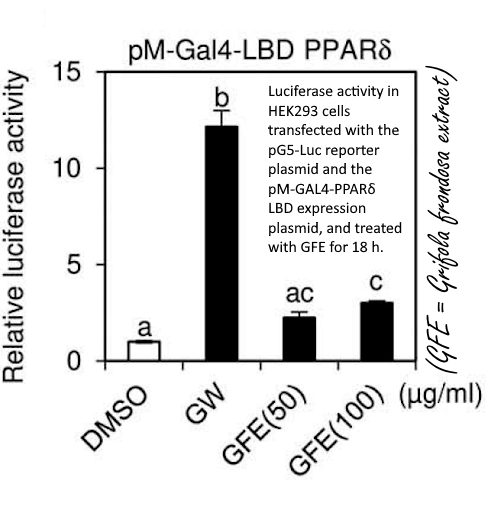 Maitake is a PPAR-delta agonist - just like cardarine