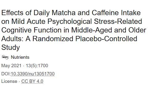 Cup of matcha gives people over 50 more focus and a higher work pace