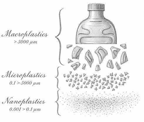 Concentration of microplastics in the body decreases due to chitosan supplementation