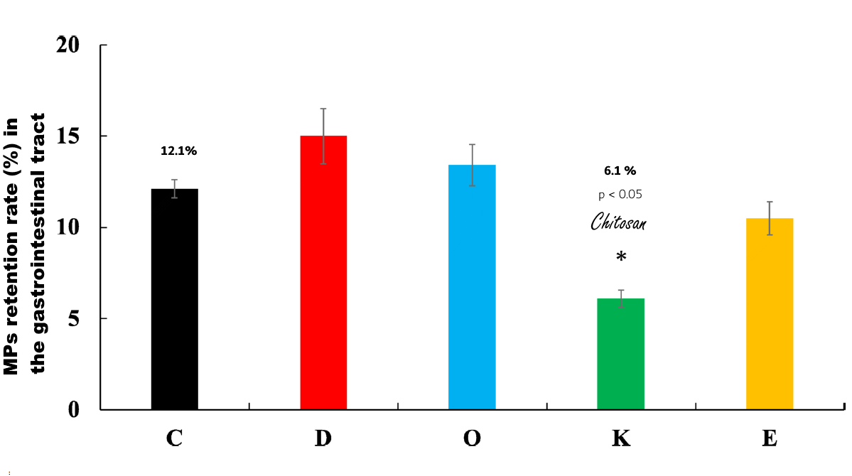 Chitosan blocks the absorption of microplastics from food